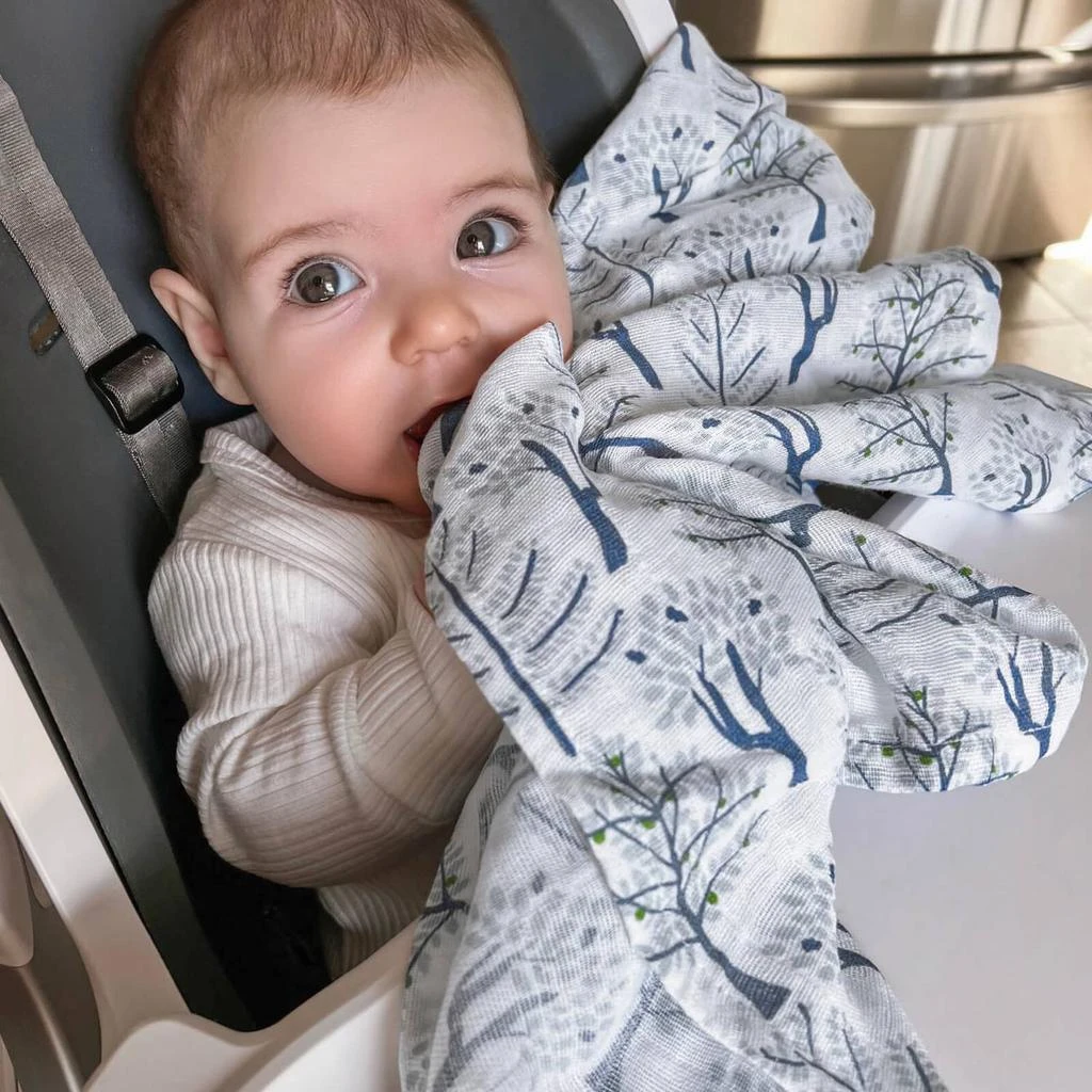 aden + anais GOTS Organic Classic Muslin Squares - Outdoors (3 Pack) 商品
