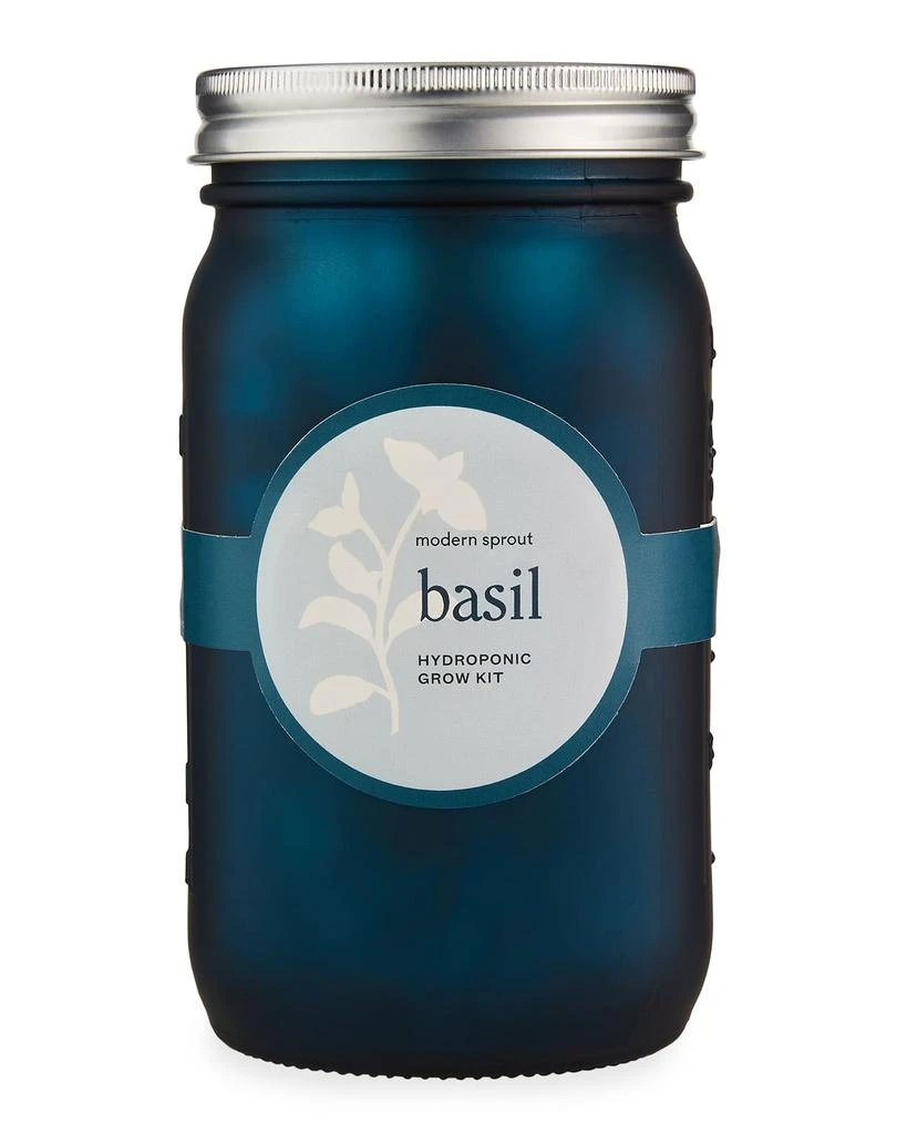 商品Modern Sprout|Garden Jar - Basil,价格¥94,第1张图片