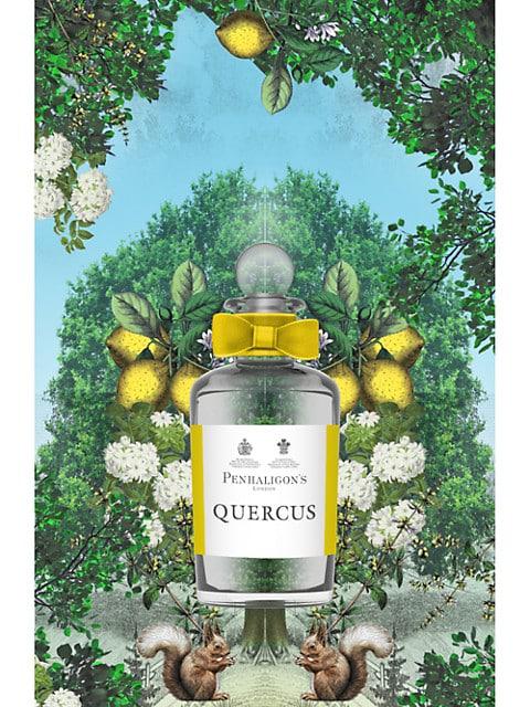 Quercus Cologne Spray商品第3张图片规格展示