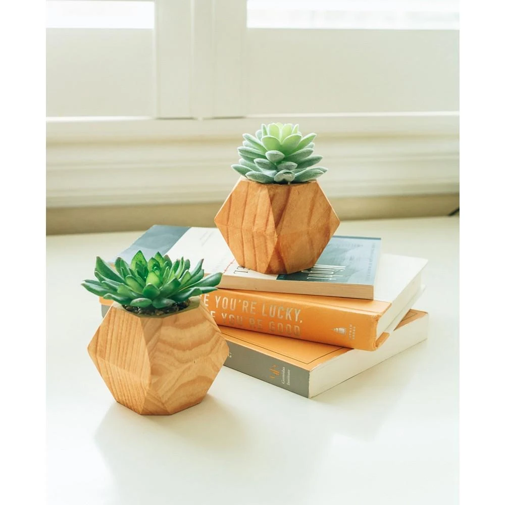 商品Flora Bunda|4.5" Artificial Succulent in Wood Pot, Set of 2,价格¥210,第4张图片详细描述