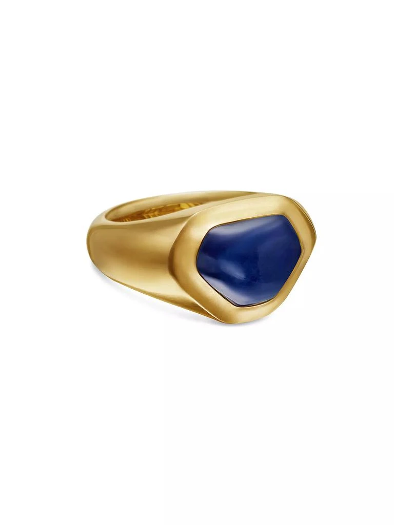 商品David Yurman|Shipwreck Signet Ring in 18K Yellow Gold,价格¥67823,第1张图片