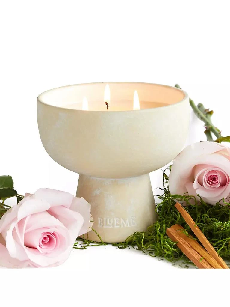 商品Blueme|Romance Oakmoss & Sandalwood Medium Ceramic Candle,价格¥483,第2张图片详细描述