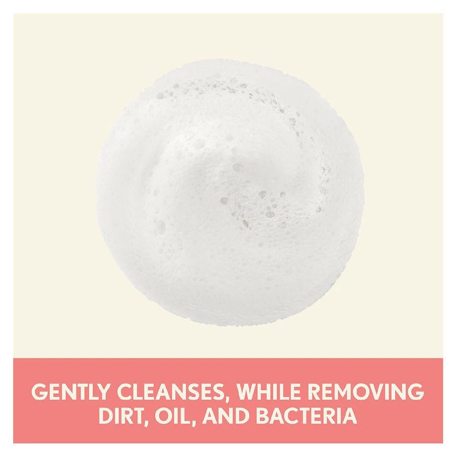 Ultra-Calming Foaming Cleanser For Dry Sensitive Skin Fragrance-Free 商品