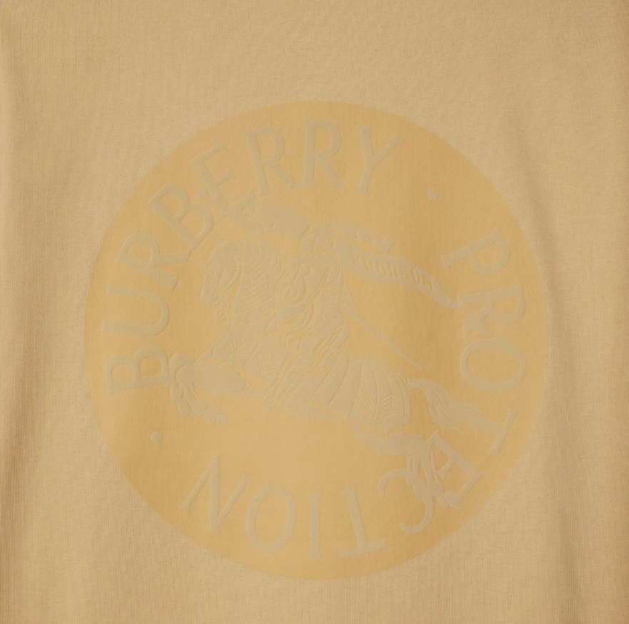 商品【商品预售7天】 Burberry|Burberry 男士T恤 81090891 花色,价格¥2153,第3张图片详细描述