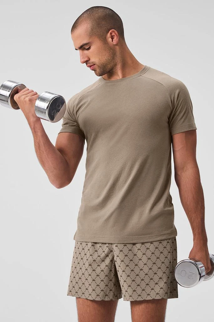 商品Alo|Triumph Raglan Tee - Athletic Heather Grey,价格¥442,第4张图片详细描述