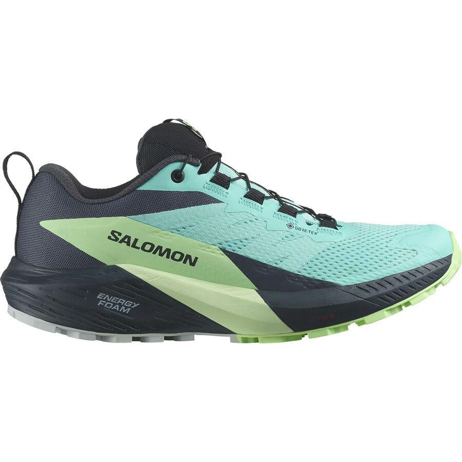 商品Salomon|女款萨洛蒙Ride 5 GTX户外跑鞋,价格¥852,第1张图片