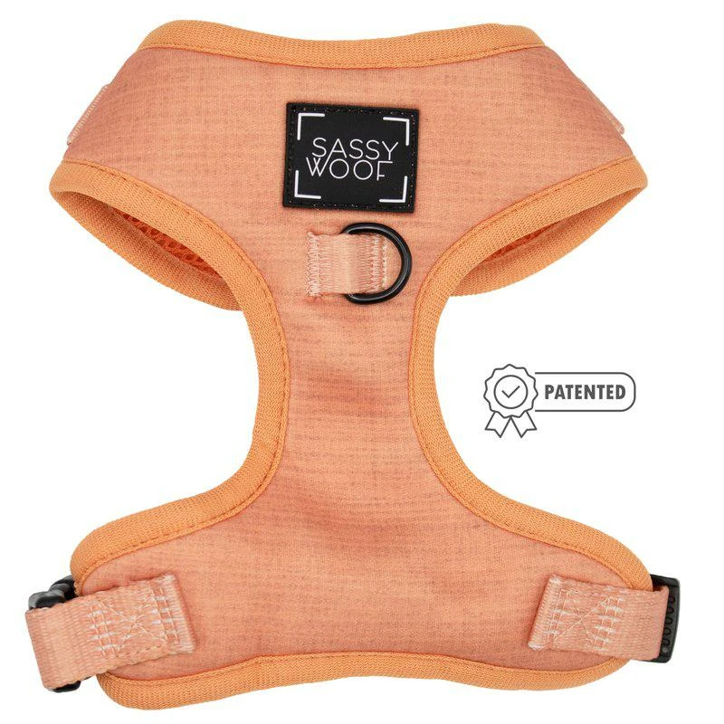 商品Sassy Woof|Adjustable Harness Apple Cider,价格¥227,第1张图片