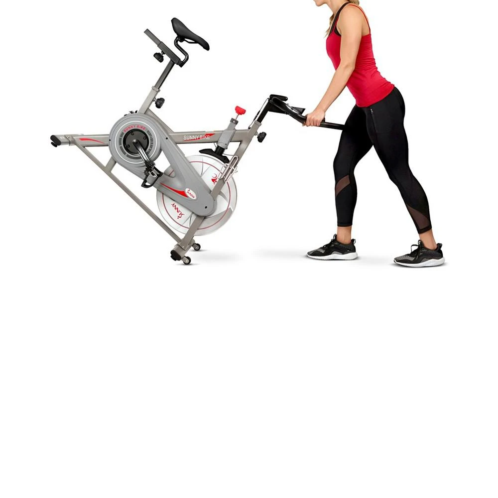 Synergy Magnetic Indoor Cycling Bike, Sf-B1879 商品