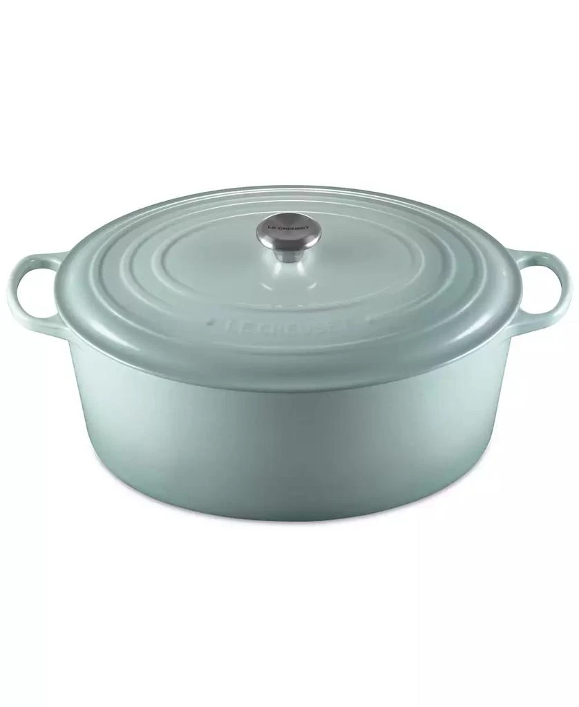 商品Le Creuset|15.5 Quart Enameled Cast Iron Oval Dutch Oven,价格¥5606,第3张图片详细描述