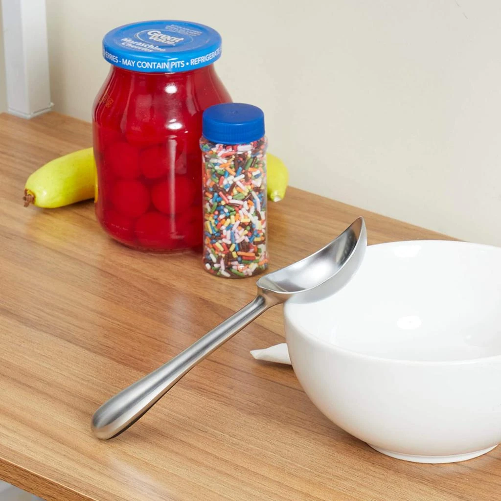 商品Home Basics|Home Basics Zinc Nova Ice Cream Scoop,价格¥107,第2张图片详细描述