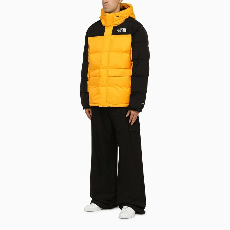 商品The North Face|男士 复古羽绒服,价格¥3063,第2张图片详细描述