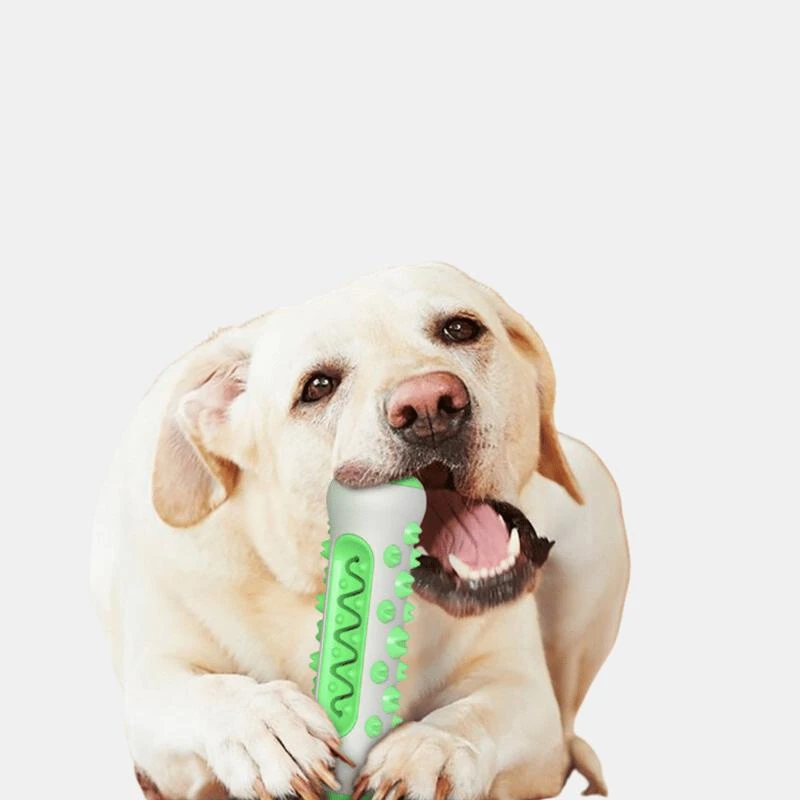 商品Vigor|Dog Squeaky Bone Stick Toy Chew Toothbrush,价格¥99,第2张图片详细描述