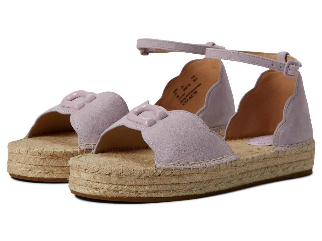 商品Coach|Dillon Suede Espadrille,价格¥601,第1张图片