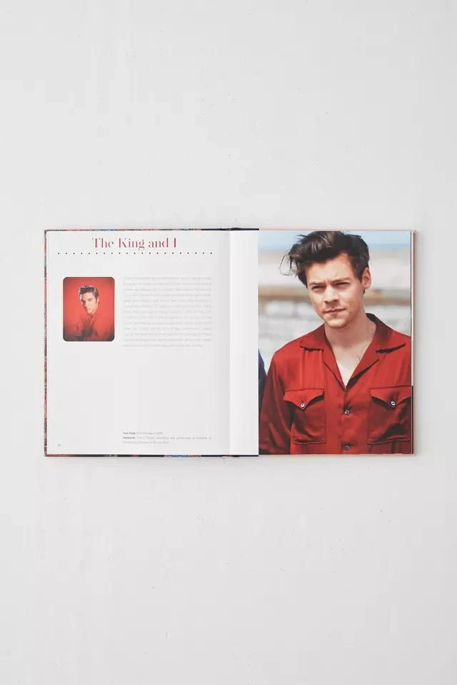 商品Urban Outfitters|Harry Styles: And The Clothes He Wears By Terry Newman,价格¥234,第3张图片详细描述