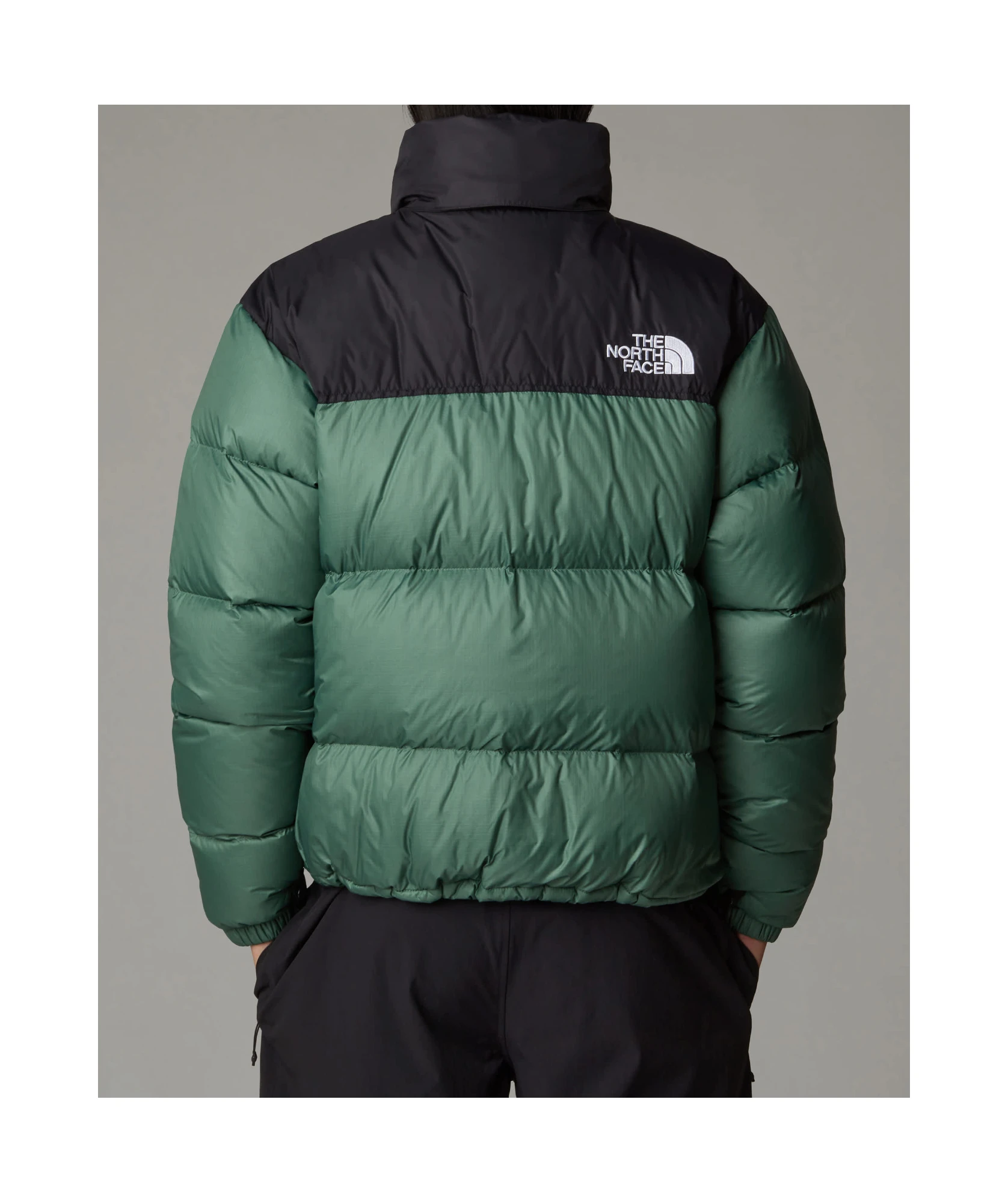 商品【商品预售7天】 The North Face|The North Face 男士羽绒服 NF0A3C8DLFW 绿色,价格¥2328,第6张图片详细描述