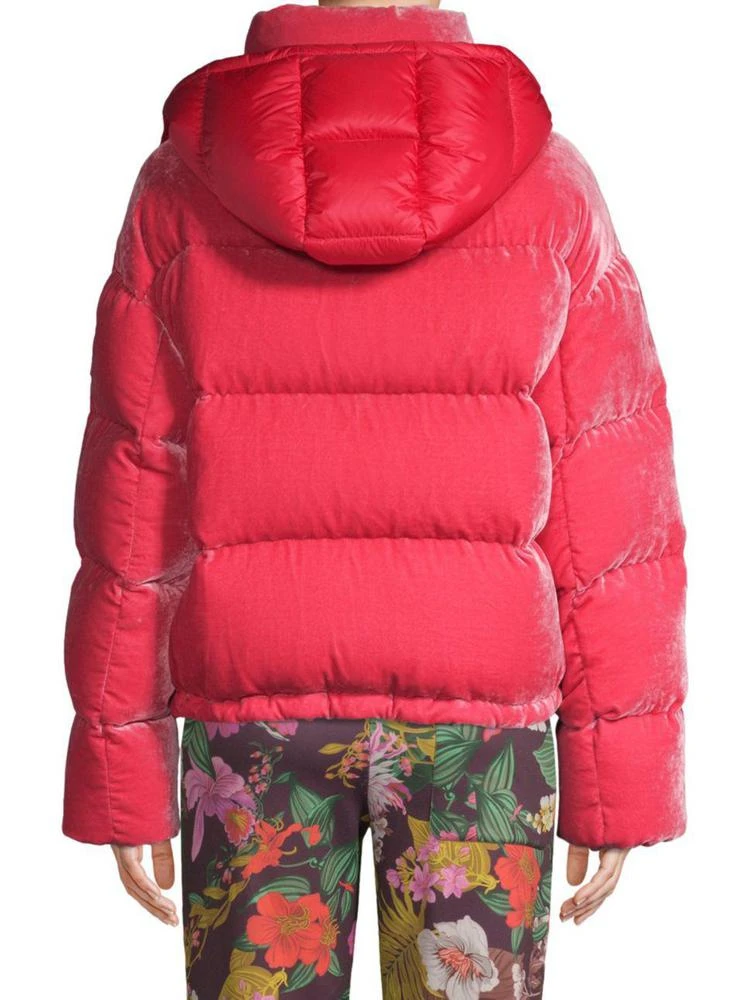 商品Moncler|Caille 天鹅绒羽绒服,价格¥4607,第2张图片详细描述