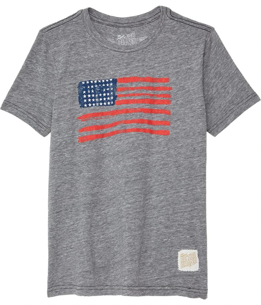 商品The Original Retro Brand|American Flag Crew Neck Tee (Big Kids),价格¥128,第1张图片