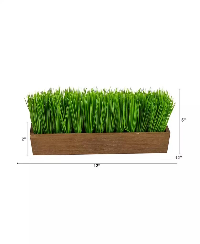 商品NEARLY NATURAL|12" Grass Artificial Plant in Decorative Planter,价格¥221,第2张图片详细描述