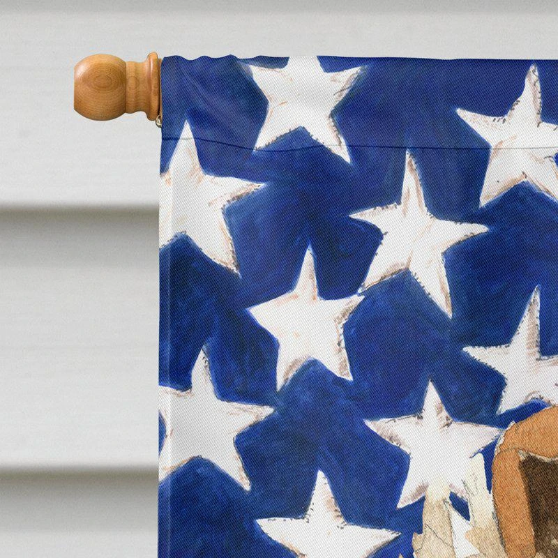 商品Caroline's Treasures|28 x 40 in. Polyester Patriotic USA Rough Collie Flag Canvas House Size 2-Sided Heavyweight,价格¥329,第2张图片详细描述