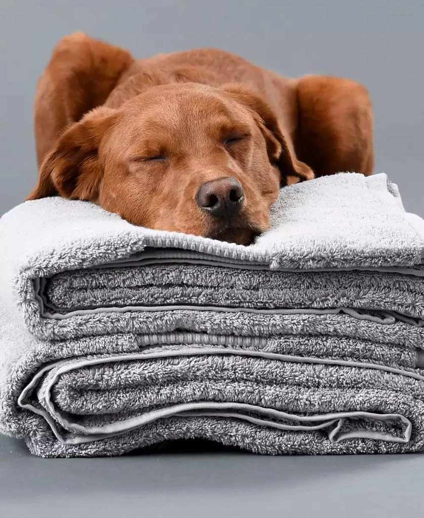 商品Delilah Home|Kitchen Towels, Pack of 4,价格¥622,第5张图片详细描述