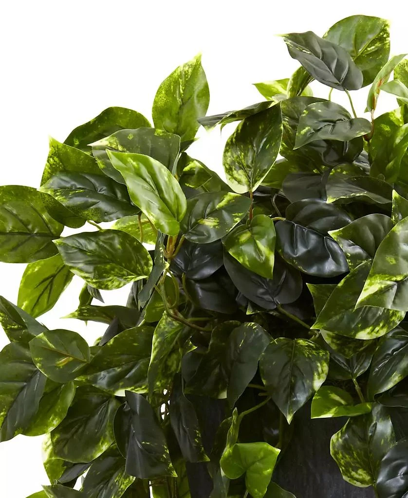 商品NEARLY NATURAL|Hanging Pothos w/ Slate Planter UV Resistant,价格¥1078,第2张图片详细描述