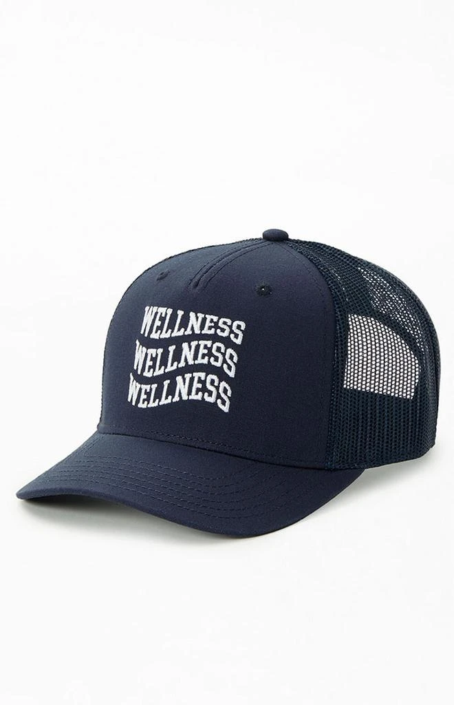 商品PacSun|Wavy Wellness Trucker Hat,价格¥65,第4张图片详细描述