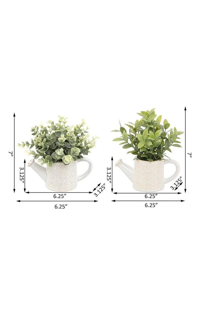 商品FLORA BUNDA|Eucalyptus & Tea leaf in Cathedral Watering Can, Set of 2,价格¥296,第2张图片详细描述