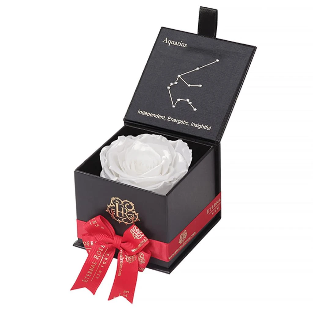 Astor Gift Box in Aquarius 商品