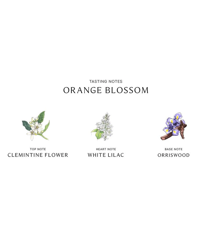 商品Jo Malone London|Orange Blossom Body & Hand Lotion, 250ml,价格¥537,第3张图片详细描述