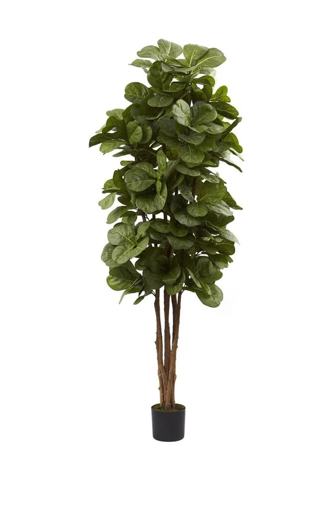 商品NEARLY NATURAL|Green 6' Fiddle Leaf Fig Tree,价格¥1641,第1张图片