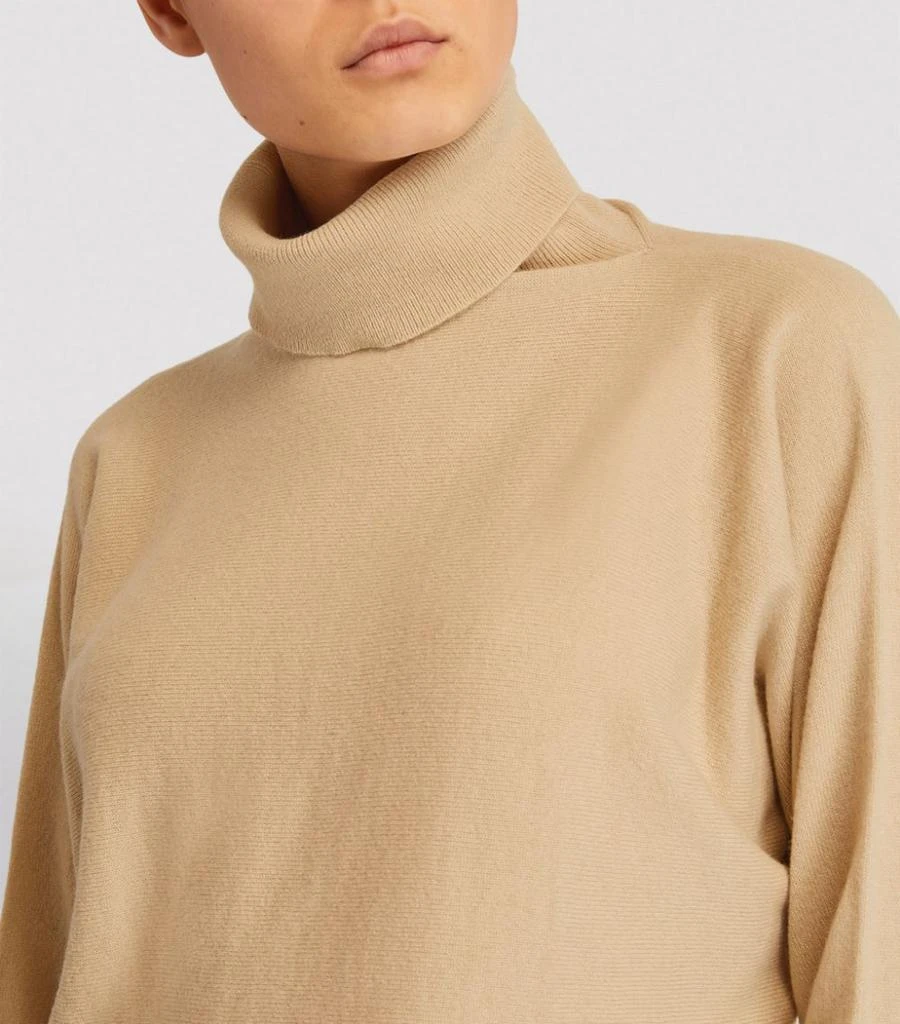 Cashmere Batwing Rollneck Sweater 商品