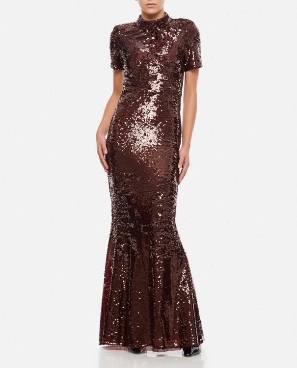 商品Self Portrait|Brown Sequin Maxi Dress,价格¥3017,第2张图片详细描述