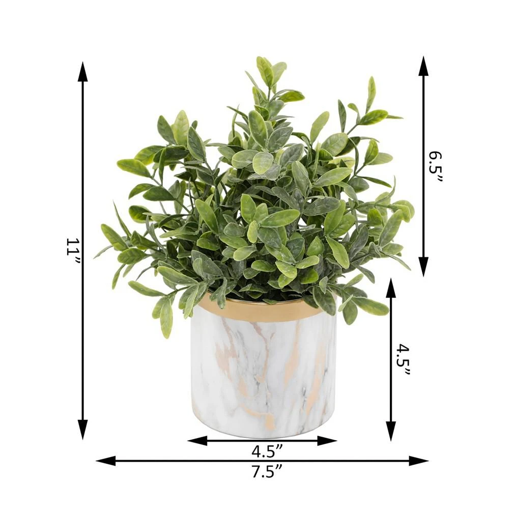 商品Flora Bunda|Tea Leaf in Ceramic Pot, 4.5",价格¥673,第2张图片详细描述