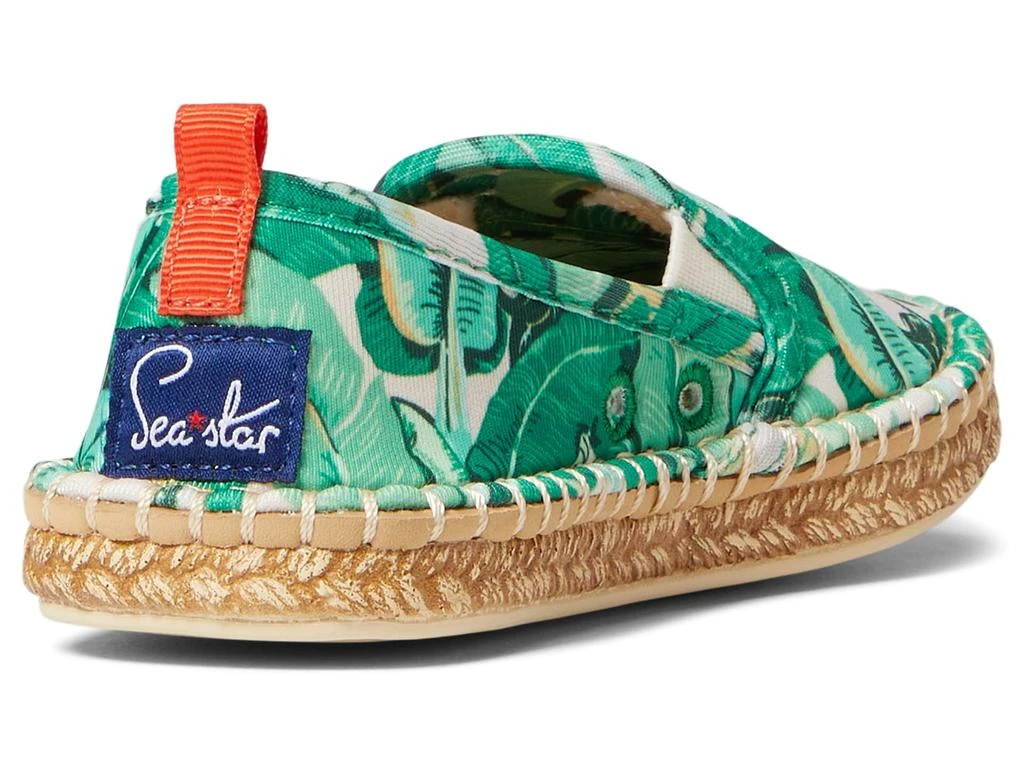 商品Sea Star Beachwear|Mariner Slip-On Water Shoe (Toddler/Little Kid/Big Kid),价格¥343,第5张图片详细描述