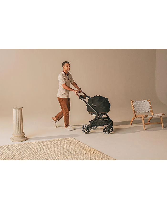 Pets Maeve™ + Roscoe™ 3-IN-1 Pet Protection System, Small Flex 商品