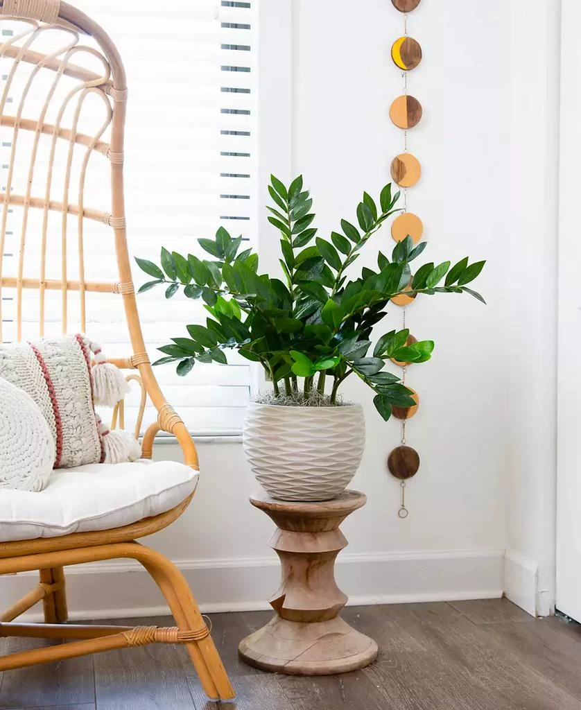 商品NEARLY NATURAL|28" Artificial Zamioculcas Plant with Decorative Planter,价格¥605,第3张图片详细描述