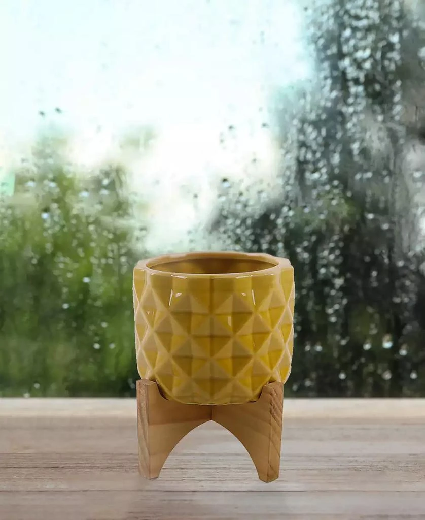 商品Flora Bunda|GL Ceramic Dimple Planter on Wood Stand, 5",价格¥329,第3张图片详细描述