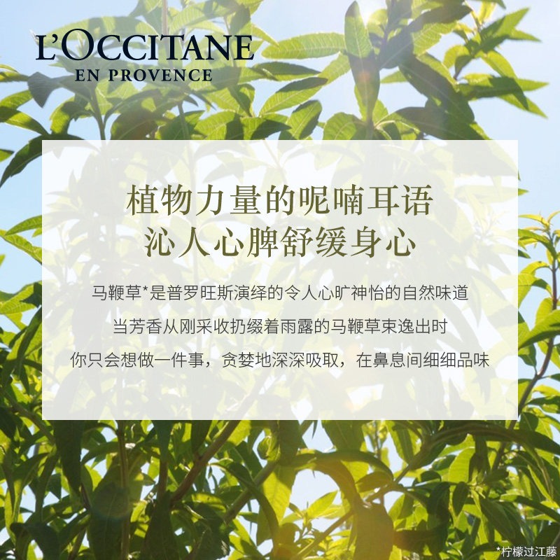 L'occitane欧舒丹马鞭草清新香水100ml EDT淡香水商品第4张图片规格展示