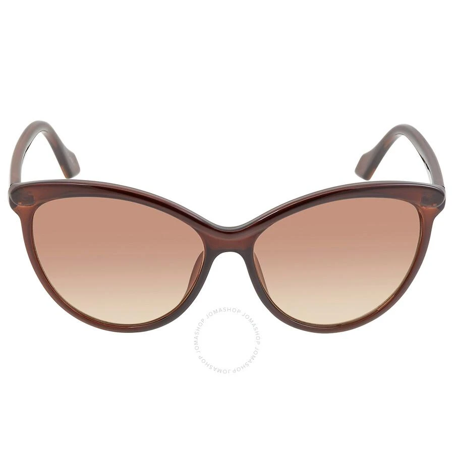 商品Calvin Klein|Calvin Klein Brown Cat Eye Ladies Sunglasses CK19534S 210 58,价格¥221,第1张图片