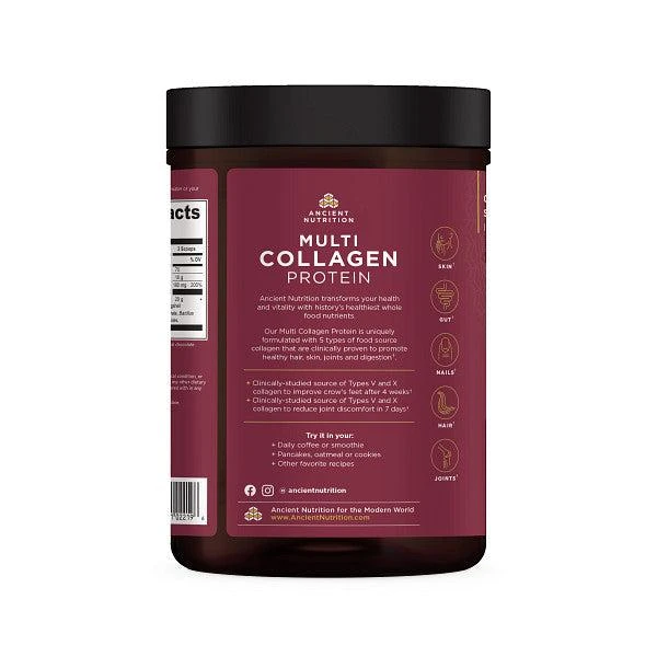 商品Ancient Nutrition|Multi Collagen Protein Powder Chocolate - 3 Pack - DR Exclusive Offer,价格¥967,第3张图片详细描述