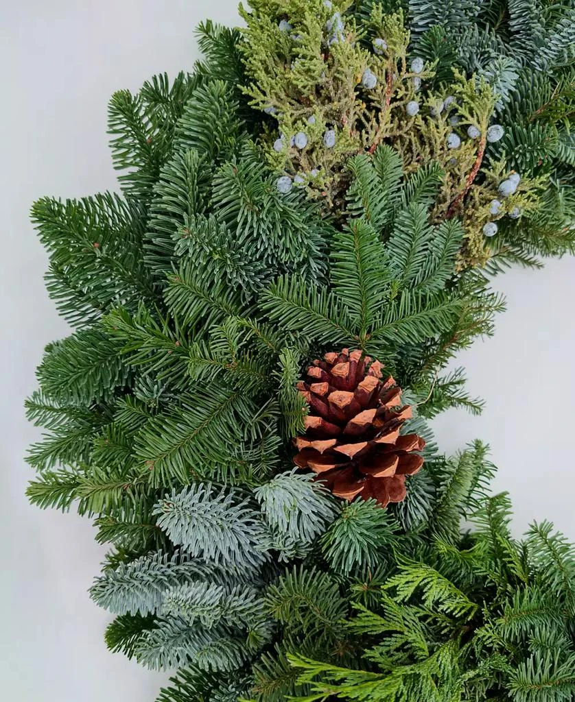 商品International Christmas Innovation|Traditional Noble Fir Fresh Wreath, 28'',价格¥426,第2张图片详细描述