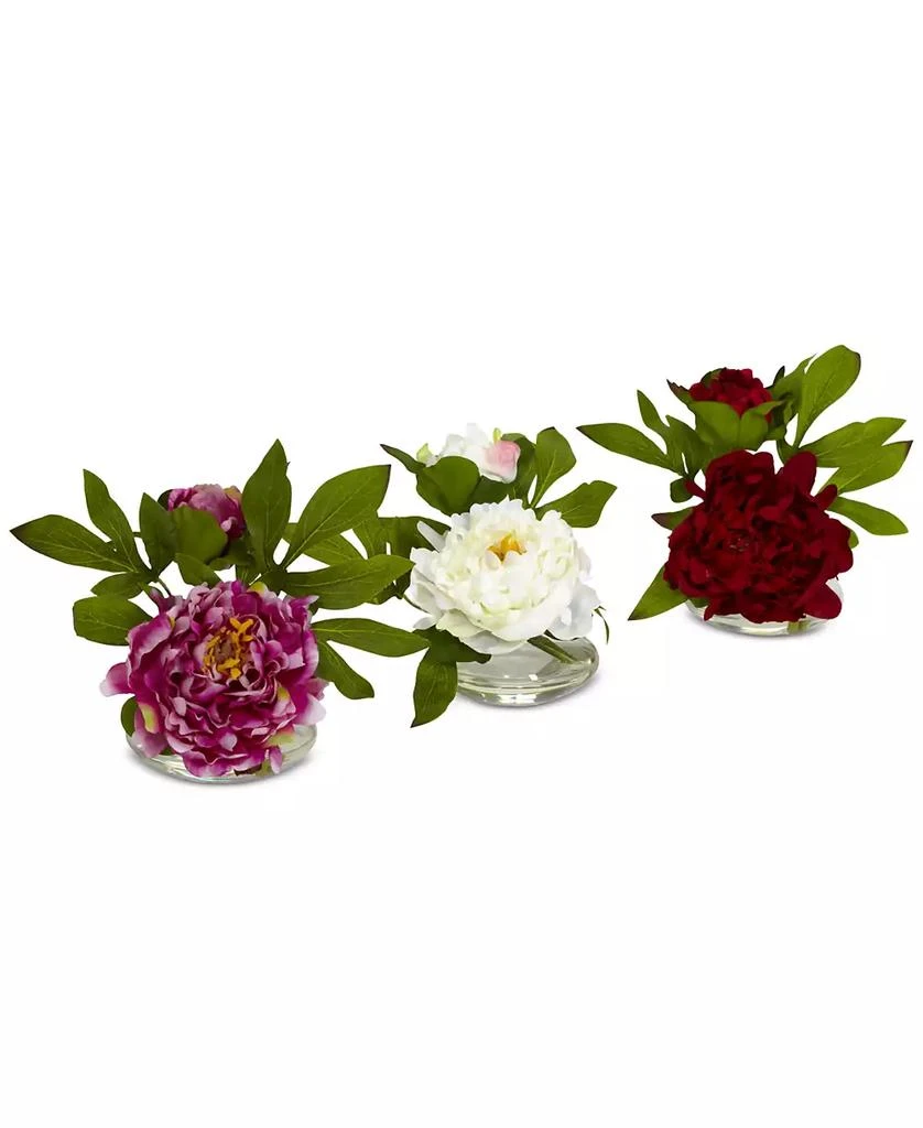 商品NEARLY NATURAL|3-Pc. Peony Set with Glass Vases,价格¥578,第1张图片
