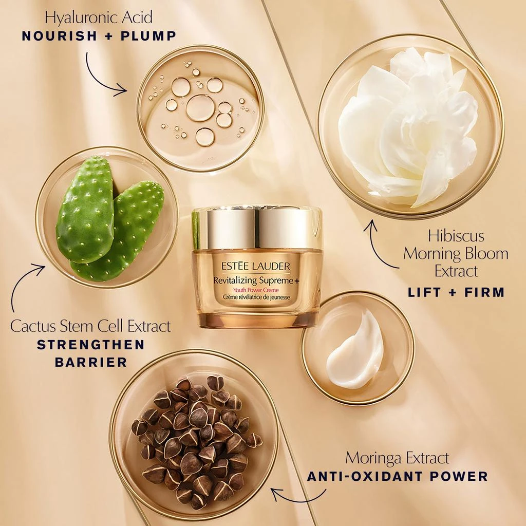 商品Estée Lauder|Estée Lauder Revitalizing Supreme+ Youth Power Cream Moisturizer with Hyaluronic Acid & Peptides 1.7 oz.,价格¥577,第4张图片详细描述