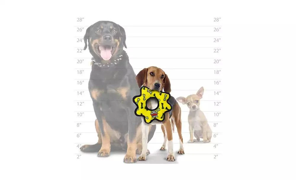 Jr Gear Ring Yellow Bone, 2-Pack Dog Toys 商品