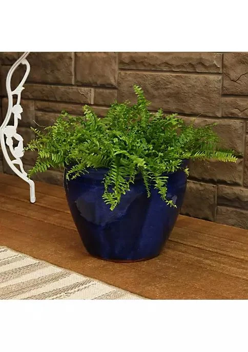 商品Sunnydaze Decor|15 in Chalet High-Fired Glazed Ceramic Planter - Imperial Blue,价格¥817,第1张图片