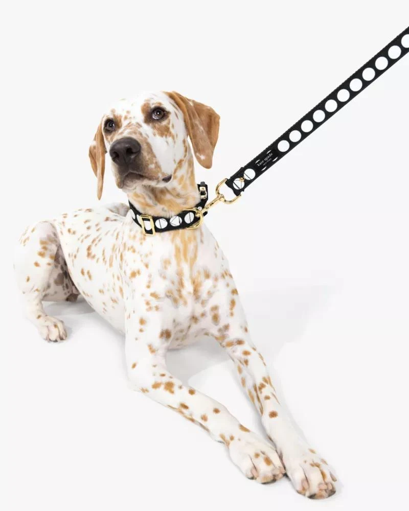 商品Kate Spade|Art Dot Collar S/M,价格¥214,第3张图片详细描述