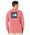 商品The North Face | Box Nse Long Sleeve Tee颜色Slate Rose