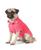 颜色: Hot Pink, Ralph Lauren | Pet Cotton Mesh Dog Polo Shirt
