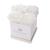 商品第7个颜色Frost, Eternal Roses | Lennox Small White Gift Box