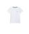 颜色: White, Lacoste | Short Sleeve Crew Neck Classic Cotton T-Shirt (Big Kids)